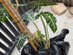 -新奥购物中心