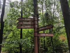 -东明山森林公园