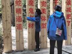 -九龙江国家森林公园