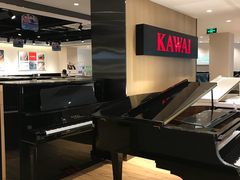 -柏斯音乐艺术中心·钢琴·吉他(上音店)