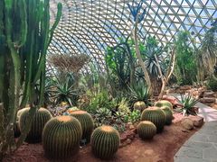 -上海辰山植物园