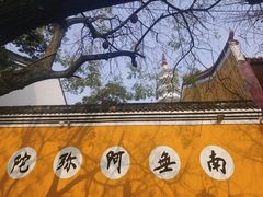 -迎江寺