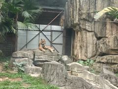 -深圳野生动物园