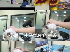 -天宠宠物医院24小时·急重症诊疗中心·全科·腔镜特色(和平分院)