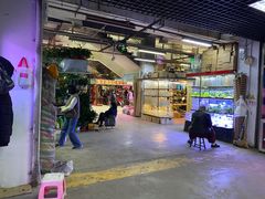 -花鸟鱼虫鲜花绿植市场(玉泉路店)