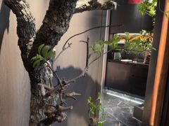 -苏淮景·苏闽融创菜·海鲜(原空港井河轩店)