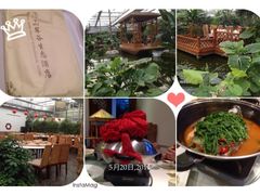 iphone_upload_pic-汤山翠谷生态餐厅