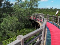-东寨港红树林旅游区