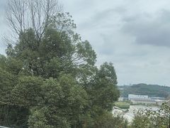 -恬阿姨庭院餐厅·生日宴