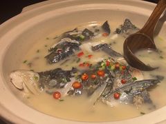 -老傅家湘潭水煮活鱼店(众一国际店)