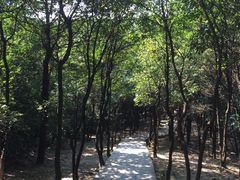 -火炉山森林公园