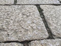 -牟氏庄园