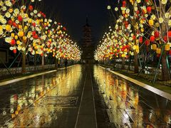 -龙华寺