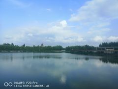 -绥化市森林植物园