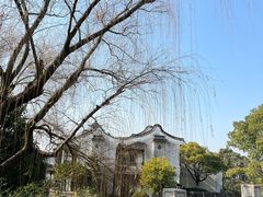 -乌村
