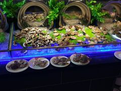 -鑫海汇海鲜烤肉自助(北国商城店)