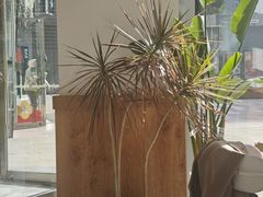 -Blueglass酸奶(财富购物中心店)