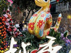-越秀西湖花市(广州城市广场花卉店)