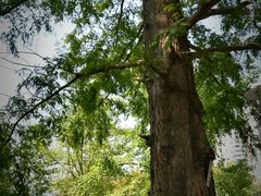 -苏州河梦清园环保主题公园