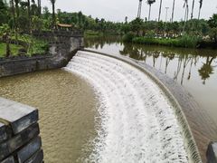 -枫香湖儿童公园