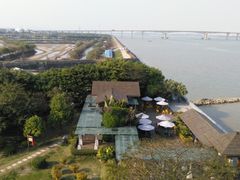 -大湾区中央湿地公园
