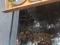 -乔家小院•本地小海鲜•非遗驴肉(万年泉路店)