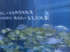-重庆欢乐海底世界