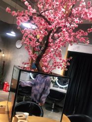 点击看大图 -时尚殿堂明星门店