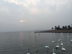 -烟墩角天鹅湖