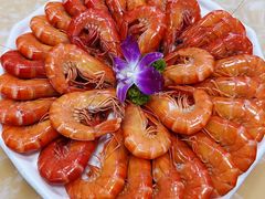 -小海豚•老字号海鲜餐厅(天涯店)