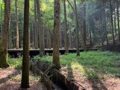 -四明山国家森林公园