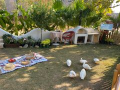 -HERRE·FARM 赫尔露营农场·团建聚会包场