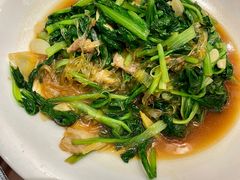 小白菜炒粉条-丽苑大酒店