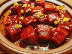 -滇铺子·云南特色菜·第九届野生菌美食节(东风东路c86店)