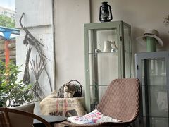 -参差咖啡(水果湖公园店)