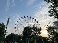-花博汇(知音花月夜)