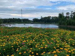 -长白山万达喜来登度假酒店