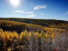 -塞罕坝国家级自然保护区