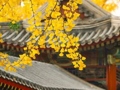 -中山公园