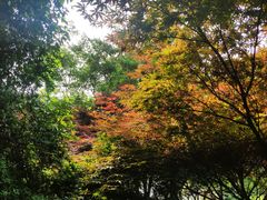 -白马涧龙池景区