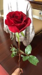 -大美母婴月子中心