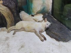 -大连圣亚海洋世界