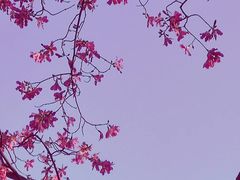 -晓港公园