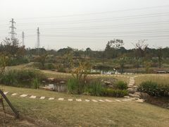 -上海长兴岛郊野公园