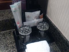 -成都天府丽都喜来登饭店