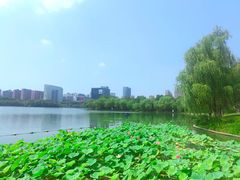 -天鹅湖体育公园