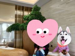 -大桶大足浴(陈春路店（3公里左右免费接送）)