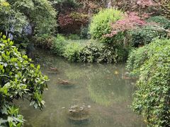 -中国茶叶博物馆(双峰馆区)