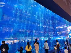 -成都浩海立方海洋公园