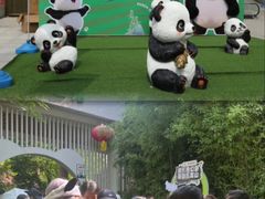 -五龙山野生动物王国